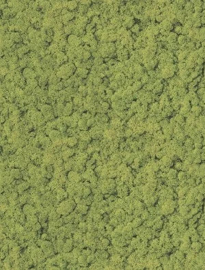 Gres Mural Mech Sugar 60x120   GAT I