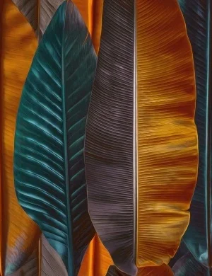 Gres Mural Bananas Sugar 60x120 GAT I