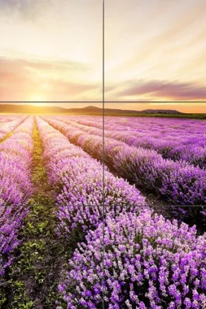 Panel Szklany Lawenda-2 180x240 Alfa-Cer GAT I