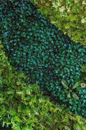 MURAL GRESOWY BUXUS (TRAWNIK) 2/8 SUGAR 60X60 GAT I