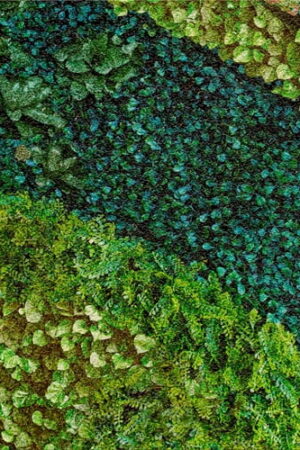 MURAL GRESOWY BUXUS (TRAWNIK) 7/8 SUGAR 60X60 GAT I