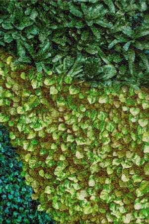 MURAL GRESOWY BUXUS (TRAWNIK) 8/8 SUGAR 60X60 GAT I