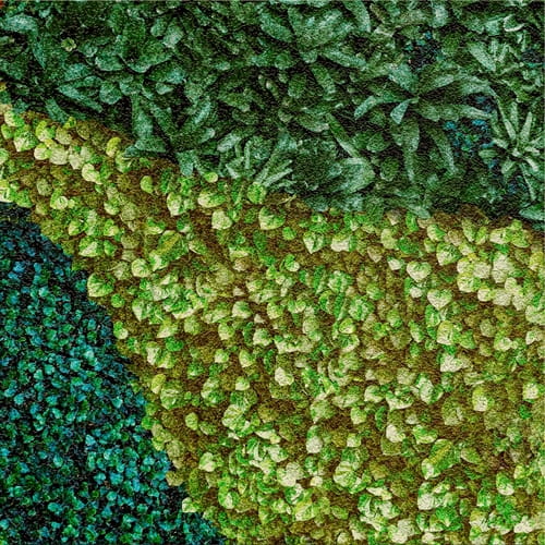 MURAL GRESOWY BUXUS (TRAWNIK) 8/8 SUGAR 60X60 GAT I