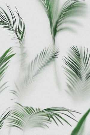 Mural gresowy 60x60 SOFT PALMS 1 C SUGAR