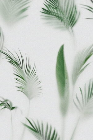Mural gresowy 60x60 SOFT PALMS 1 B SUGAR
