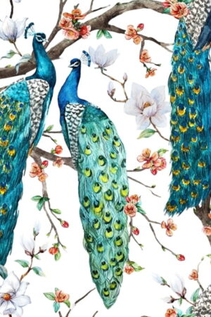 Mural gresowy 60x60 DEK PEACOCK WHITE MAT GAT I