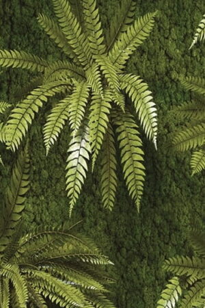 Mural gresowy 60x60 EXOTIC GREEN 1 MAT GAT I