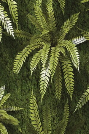 Mural gresowy 60x60 EXOTIC GREEN 4 MAT GAT I