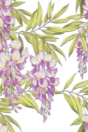 Mural gresowy 60x60 FLOWERS-3 WHITE STR