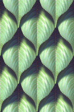 Mural gresowy 60x60 GREENWALL-2 MAT