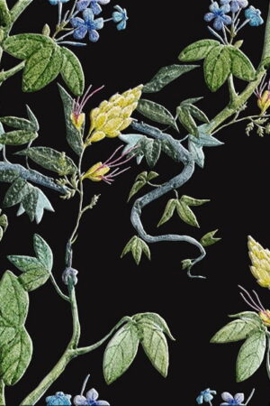 Mural gresowy 60x60 GARDEN BLACK-2 STR-S