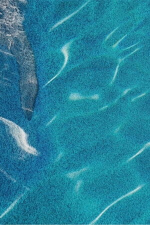 Mural gresowy 60x60 DOLPHINES SET 4/4 SUGAR