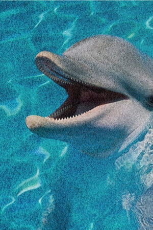 Mural gresowy 60x60 DOLPHINES SET 1/4 SUGAR