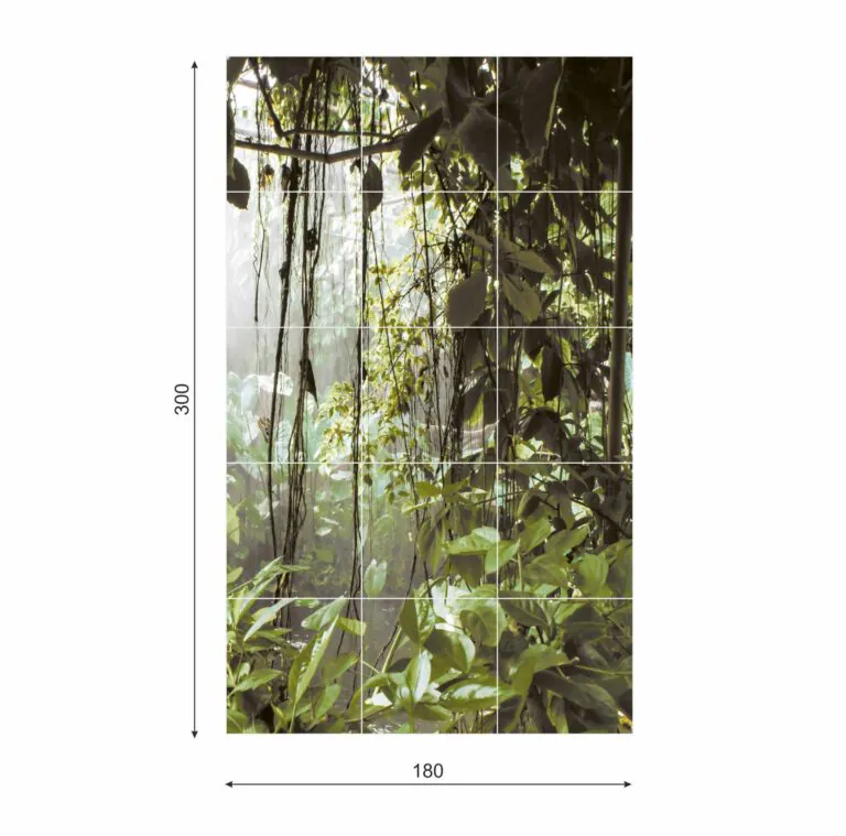 Ceramik Studio Obraz Wielkoformatowy płytka gres Rain Forest 300×180 - obrazek 2