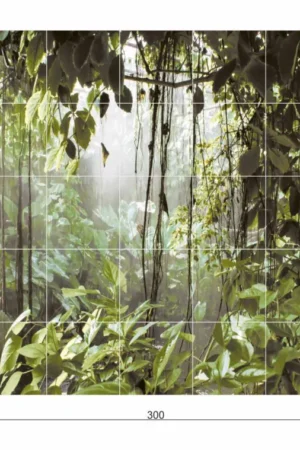 Ceramik Studio Obraz Wielkoformatowy płytka gres Rain Forest 300×180