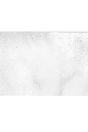 Ceramik Studio płytka Amazonia Grey Płytka Bazowa 30×60 cm