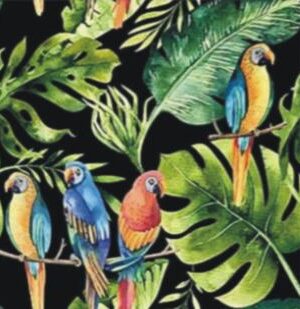 MURAL GRESOWY PARROTS black 60X60 GAT I