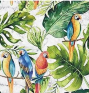 MURAL GRESOWY PARROTS marble 60X60 GAT I